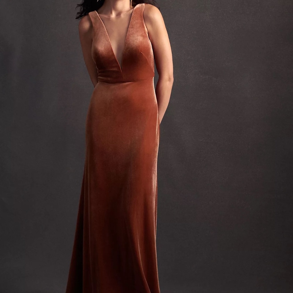 Jenny Woo long velvet dress
